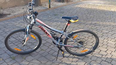 Biciclette Giant XTC Jr 1 24 Kids Bike