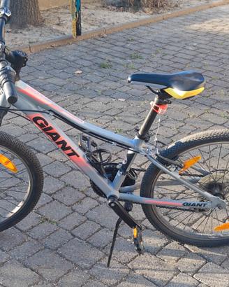 Biciclette Giant XTC Jr 1 24 Kids Bike