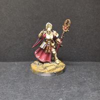 Warhammer aos Cavaliere arcanum pro-painted