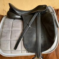 sella cavallo da dressage Passier