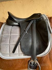 sella cavallo da dressage Passier
