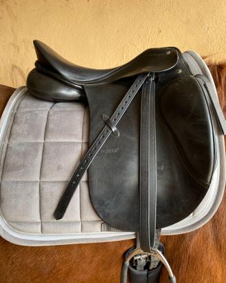 sella cavallo da dressage Passier