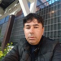 Aiuto domestico pulizie domestiche spesa compagnia