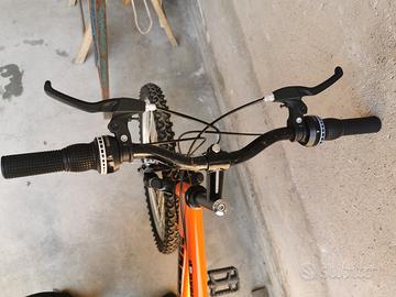bicicletta 