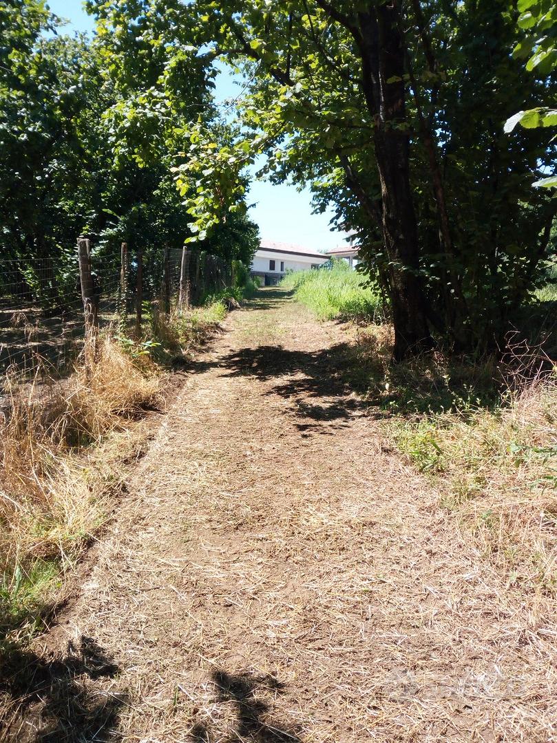 Terreno agricolo - Vista 5