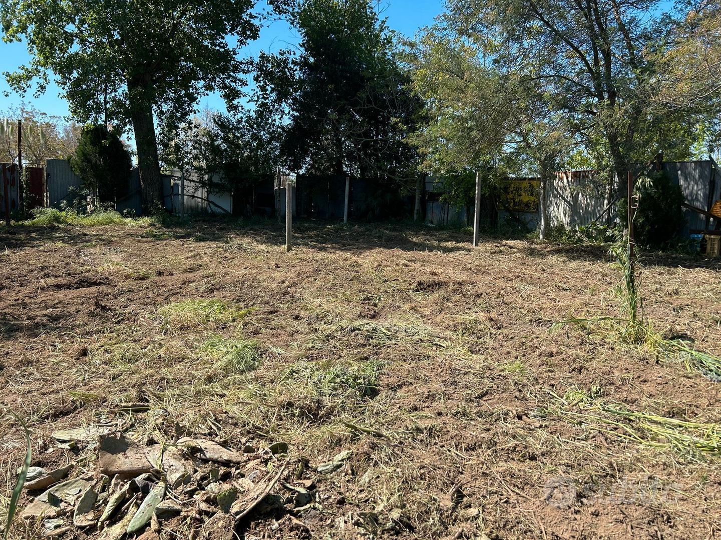 Terreno agricolo - Vista 5