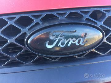 Griglia ford fiesta 2006