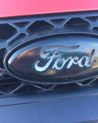 Griglia ford fiesta 2006
