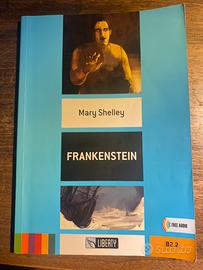 Libro,Frankenstein di Mary Shelley