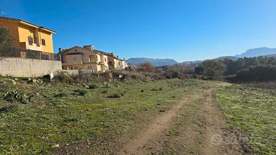 Comparto C17- Terreno Agricolo