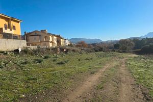 Comparto C17- Terreno Agricolo