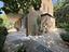 Immagine 11