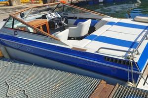 SCORPION 230 Chris Craft natante