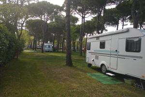 ADRIA AVIVA 522 PT (01/2020) – 7 POSTI