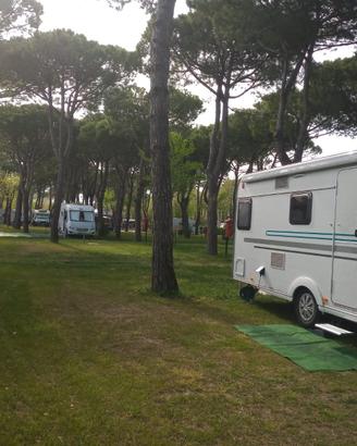 ADRIA AVIVA 522 PT (01/2020) – 7 POSTI