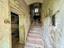 Immagine 7