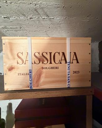 Sassicaia 2023