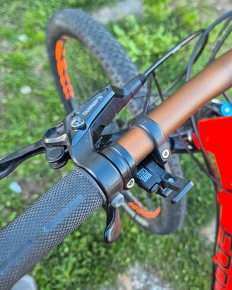Mtb Focus whistler 29' Taglia S