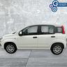 fiat-panda-1-2-easy-van-4-posti