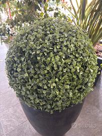 Pianta finta