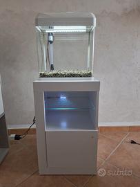 Acquario pesci 30litri