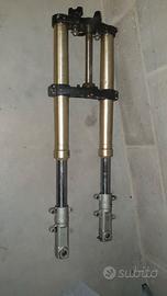 Forcella Paioli upside down Gilera RC600 RC 600