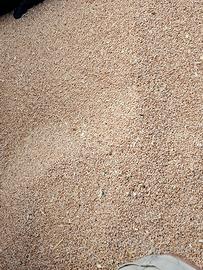 Grano