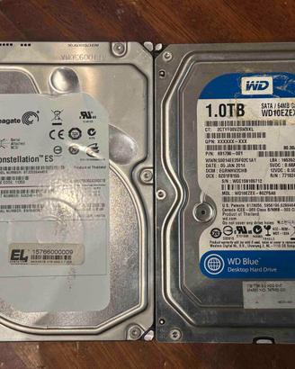 Coppia Hard Disk Seagate SAS 2TB + WD 1TB