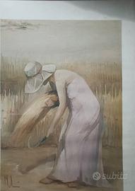 due quadri con cornice in legno di M. L. 