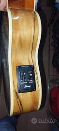 Ukulele IBANEZ UE W 20 SME