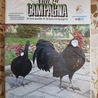 Annate complete "Vita in campagna" 1996-2021