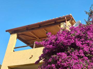 Alessandro&Dina's House