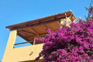 Alessandro&Dina's House