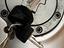 Immagine 6