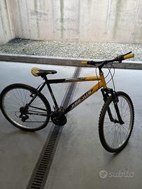 Bicicletta da uomo