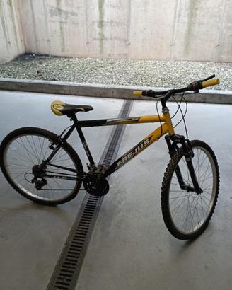 Bicicletta da uomo