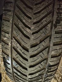 gomme 4 stagioni