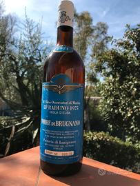 Vino rosso Torre di Brugnano, 3° raduno 1975 Elba
