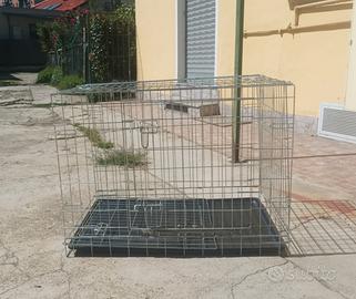 kennel 