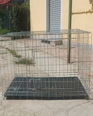 kennel 