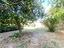 Immagine 29