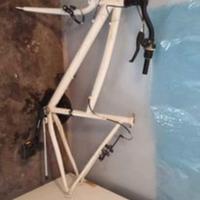 Telaio Bici