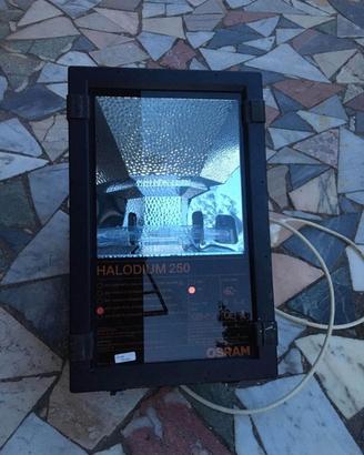 Faro professionale Osram Halodium 250