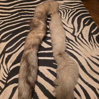 Code di volpe argentata 