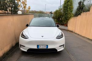 Tesla model Y performance