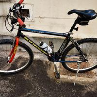 bici mtb x uomo donna