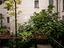 Immagine 25