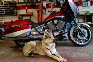 Victory Magnum - 2015