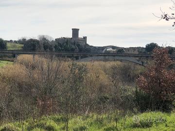 Terreno agricolo Vulci