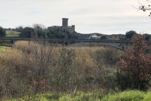 Terreno agricolo Vulci